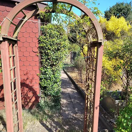 Appartement Waldblick Fuhlendorf (Mecklenburg-Vorpommern)
