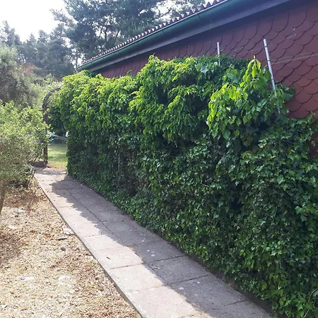 Appartement Waldblick *